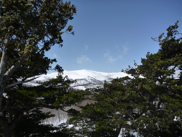 a0043193_22331537.jpg