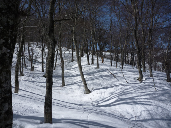 a0043193_2233305.jpg