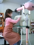 c0096693_10415998.jpg