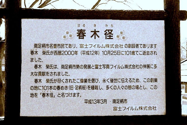 c0061695_2175791.jpg
