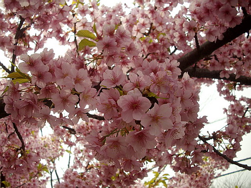 c0138198_18303618.jpg