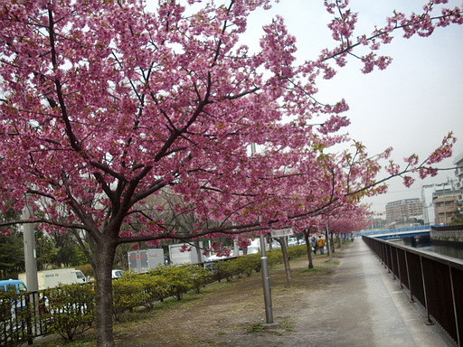 c0138198_18313833.jpg