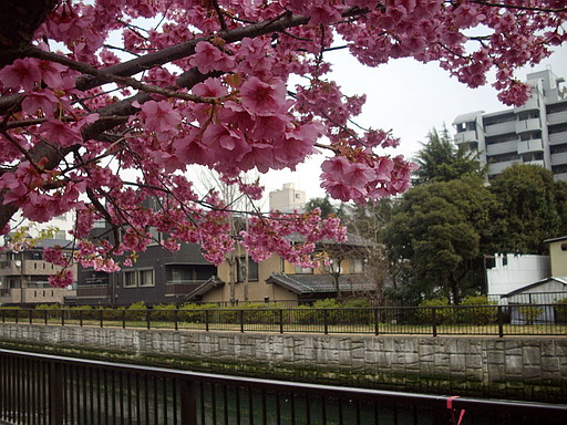 c0138198_1833084.jpg