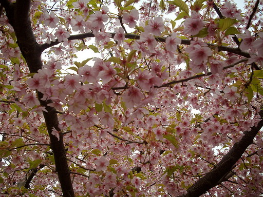 c0138198_1835581.jpg