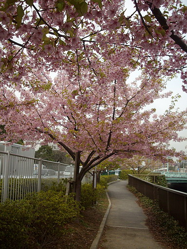 c0138198_1835865.jpg