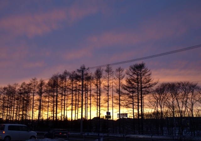 f0020302_20375471.jpg