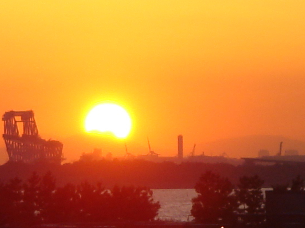 a0159913_17373186.jpg