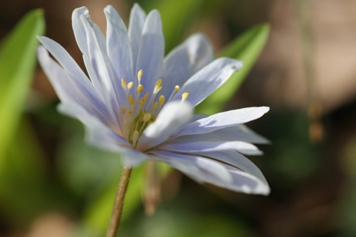 c0042418_8542081.jpg