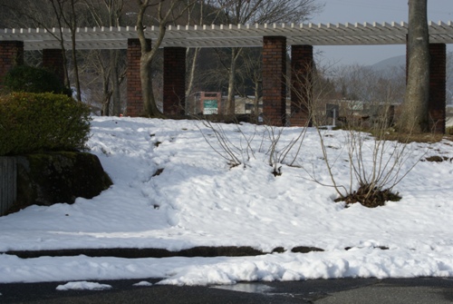 c0042418_8591857.jpg