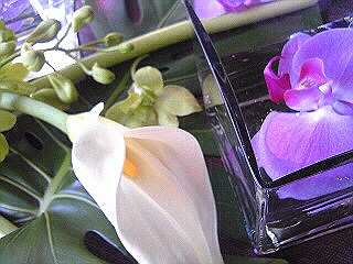 a0052621_208633.jpg