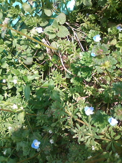a0056722_0261140.jpg
