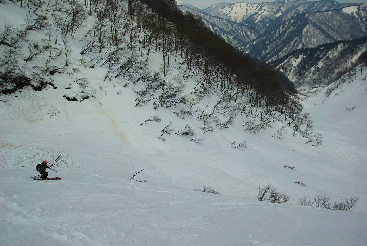 b0062024_753860.jpg