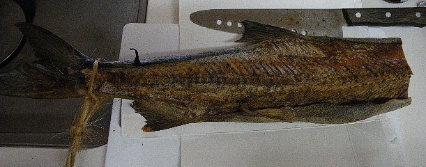 f0118332_13111346.jpg