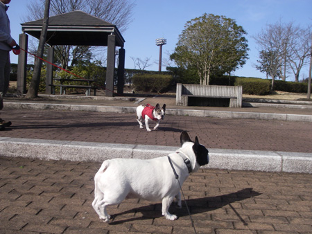 e0008833_1152553.jpg