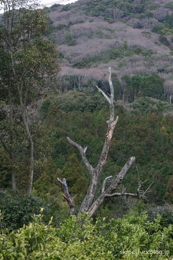 c0134734_23322544.jpg
