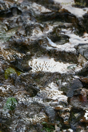 c0134734_23325061.jpg