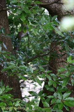 c0134734_23333534.jpg