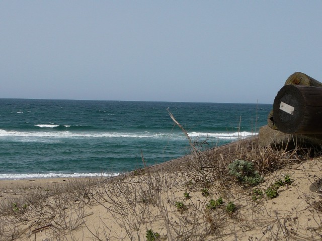 c0194535_20334212.jpg