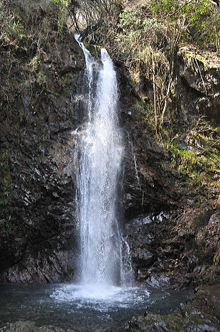 f0094843_1503637.jpg