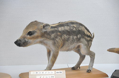 f0094843_2324030.jpg