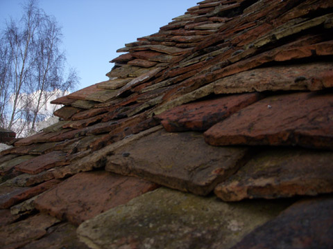 b0069848_6532615.jpg