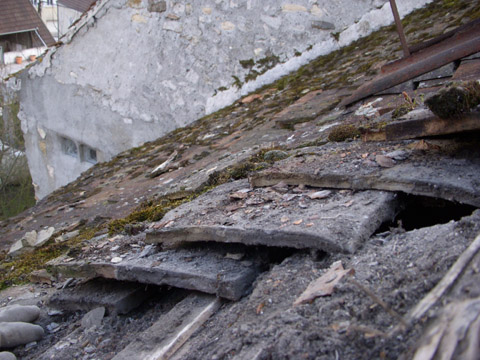 b0069848_74245.jpg