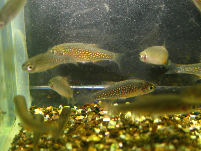 f0198950_2315169.jpg