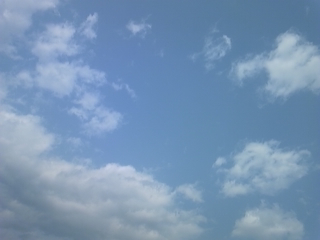 a0162251_1655828.jpg