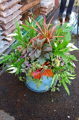 e0025655_612476.jpg