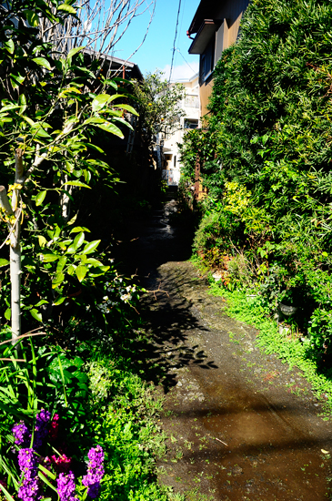 f0176458_6433055.jpg