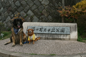 f0171559_21152499.jpg