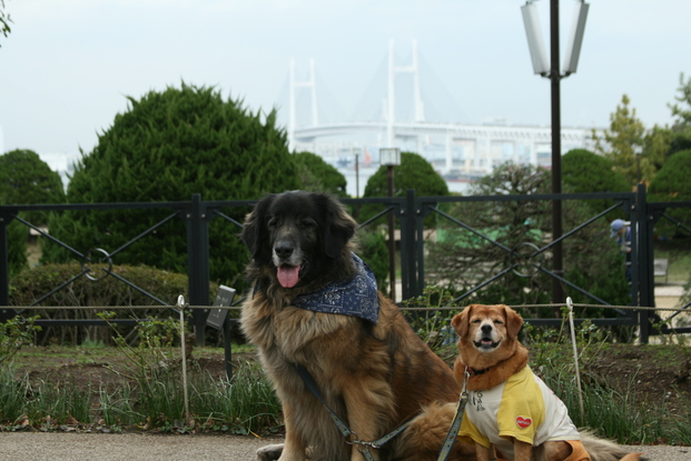 f0171559_21163433.jpg