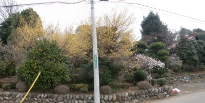 c0112172_1629258.jpg