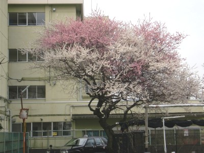 c0112172_1629425.jpg