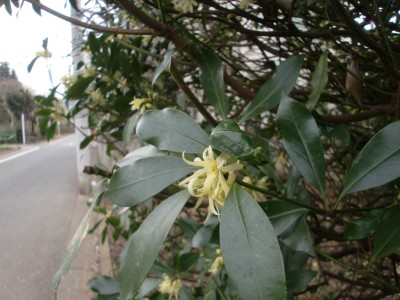 c0112172_16303436.jpg