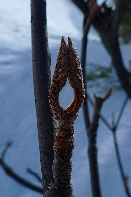 f0182173_10461360.jpg