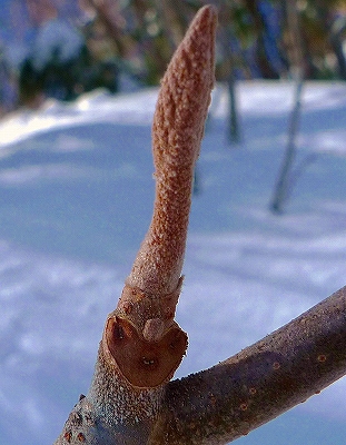 f0182173_12574373.jpg