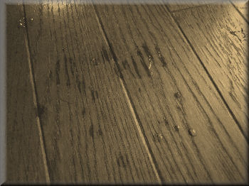 e0099375_23294547.jpg