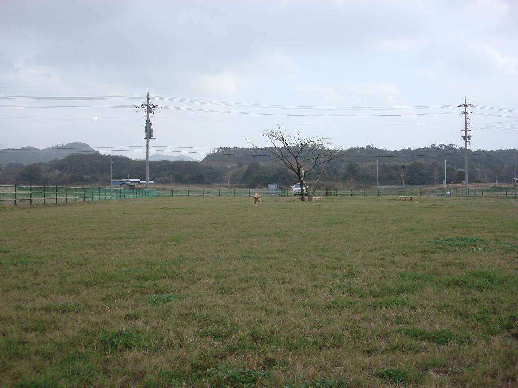 a0040978_1821125.jpg