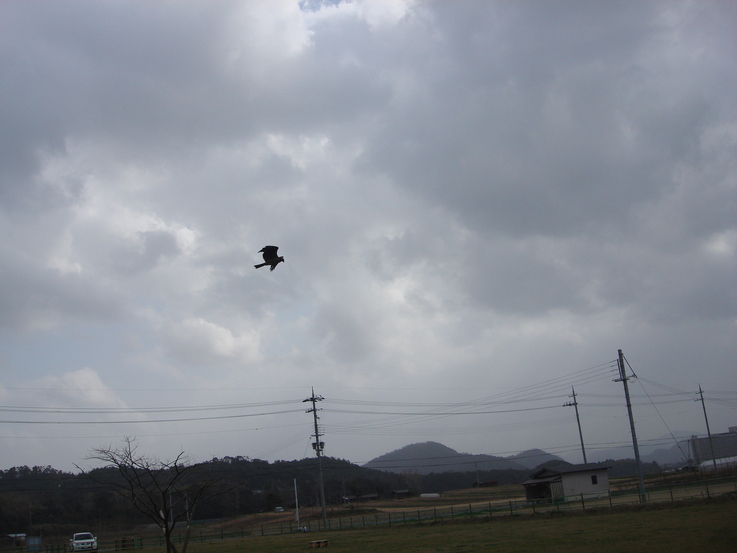 a0040978_1825228.jpg
