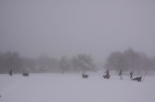 c0149178_9233437.jpg