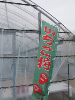 e0132881_2125192.jpg