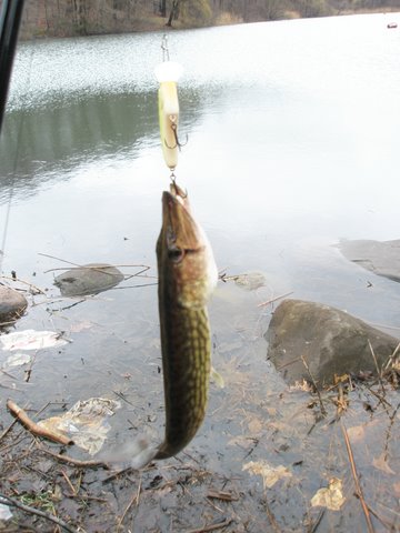 f0024887_7172570.jpg