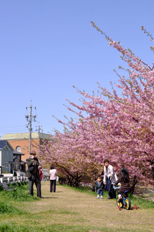 b0061588_0562460.jpg