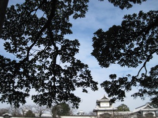 a0113394_140651.jpg
