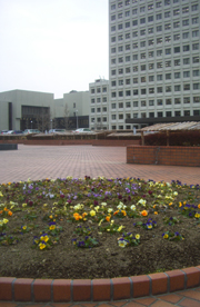 b0099994_655210.jpg