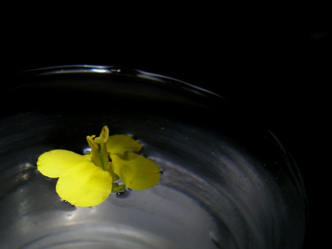 c0200895_17241681.jpg
