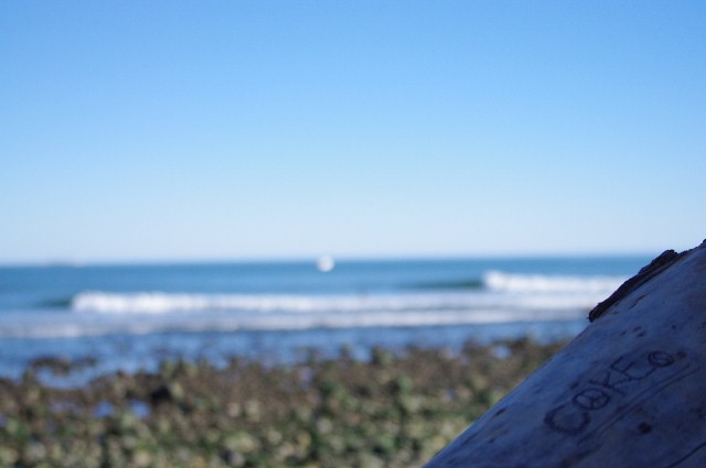c0228101_1131132.jpg
