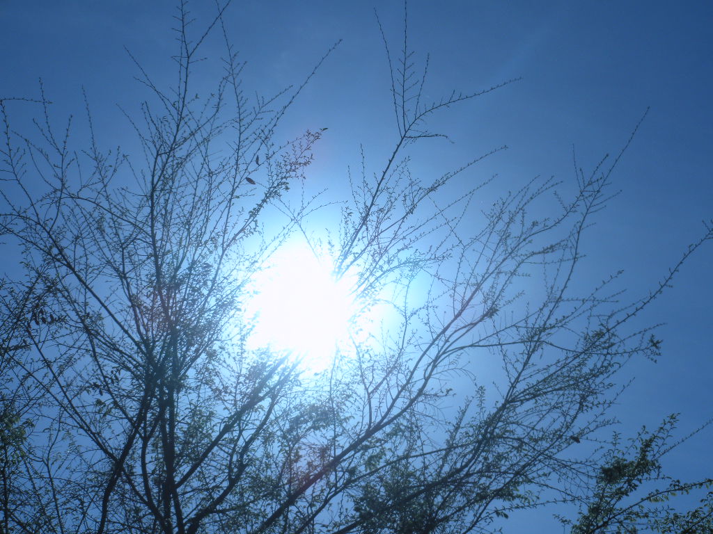a0144811_9364817.jpg
