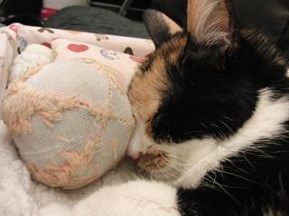 c0201113_21433849.jpg